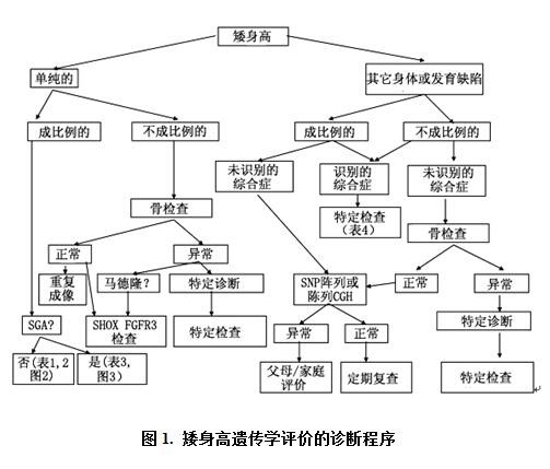 矮身高遺傳學(xué)評(píng)價(jià)的診斷程序.jpg